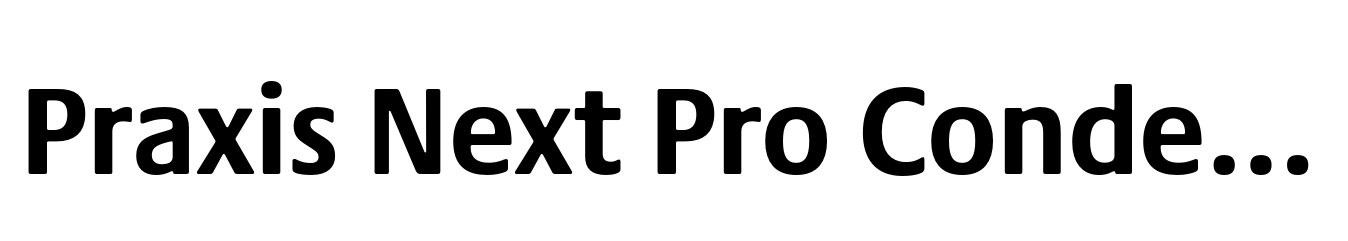 Praxis Next Pro Condensed Bold